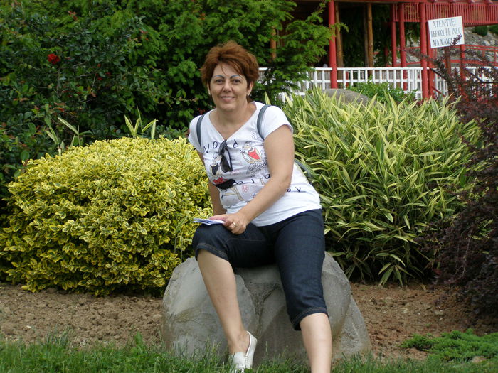 P5230028 - Jibou - merita vazut