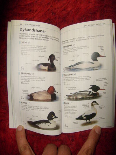 interior - L1 - Literatura - ornitologie