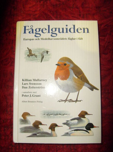 carte ornitologie - L1 - Literatura - ornitologie