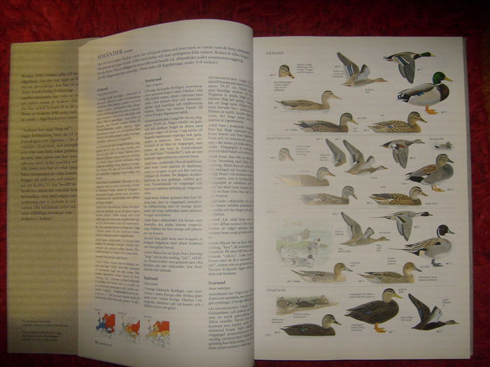 pe care il detin in biblioteca