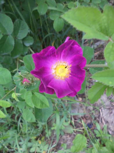 DSC03829