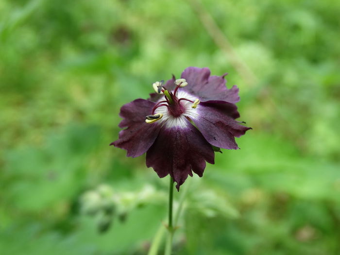DSC00510