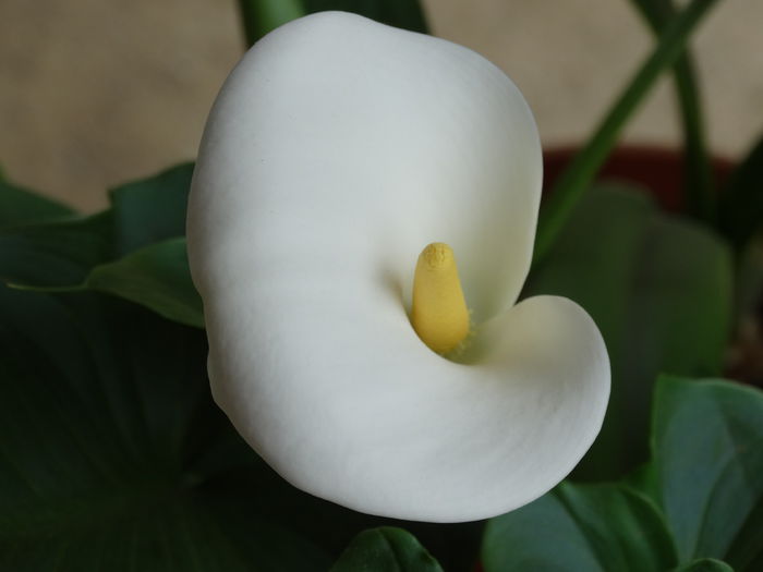 DSC00876