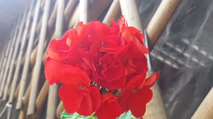 20150524_153400