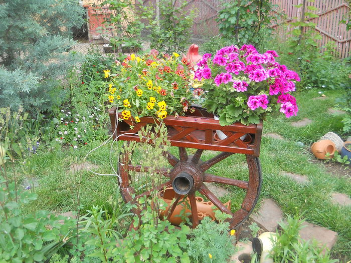 Picture 1676 - GRADINA 2015