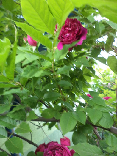 DSC03861
