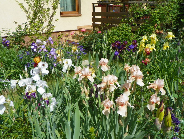 24 mai 035