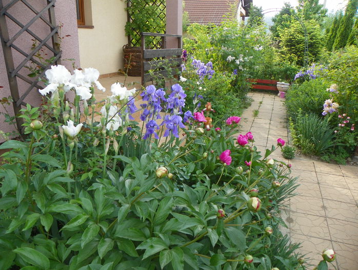 25 mai 065