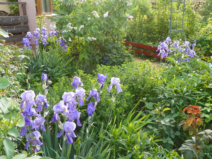 25 mai 068