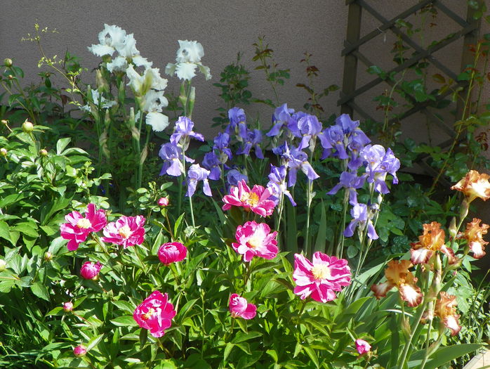 25 mai 123