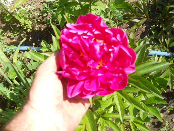 DSCN9672