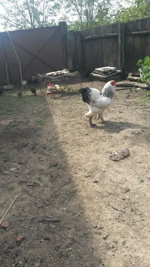 20150516_102426(0)
