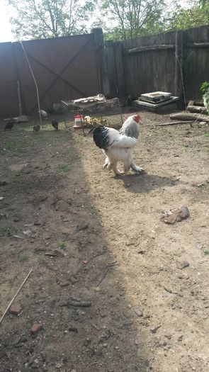 20150516_102426