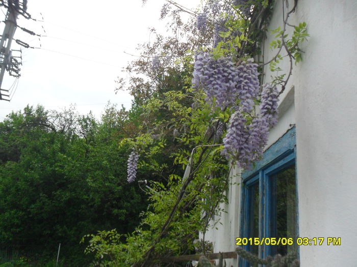 SAM_9297 - Serviciu 2015