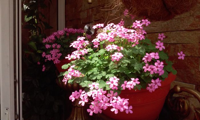20150524_134059