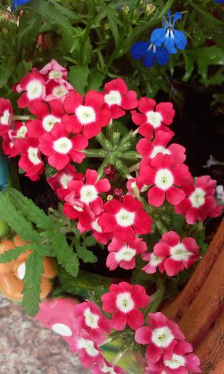 20150524_132505 - mai 2015