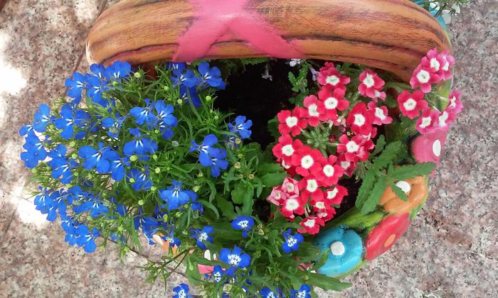 20150524_132454 - mai 2015