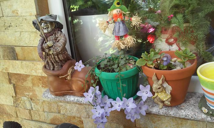 20150524_091835 - mai 2015