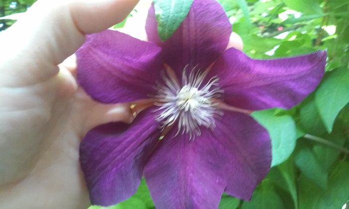 20150522_150937 - mai 2015