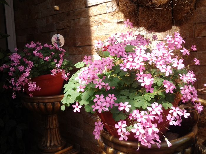 20150526_112448 - mai 2015