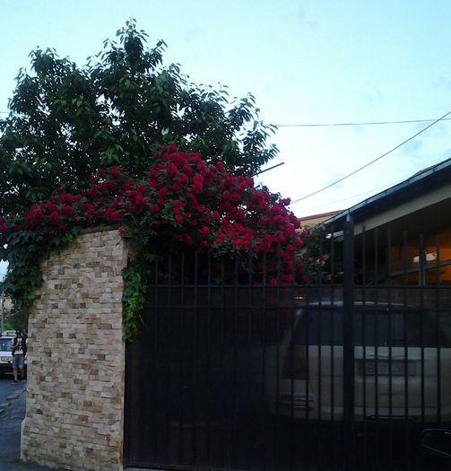 20150524_204021-1 - mai 2015