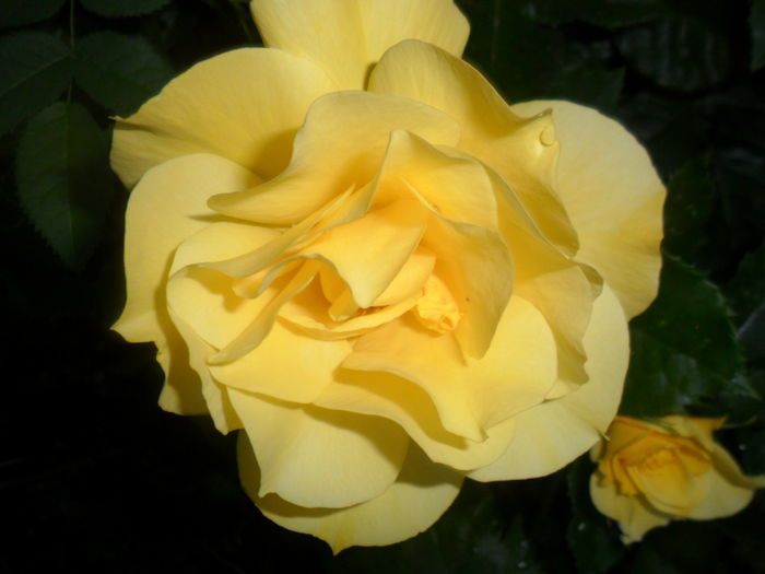 SAM_5371
