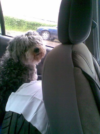 Fritz - Fritz  Bella  Mimi