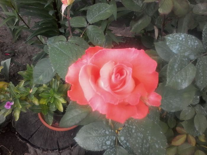 20150526_181808