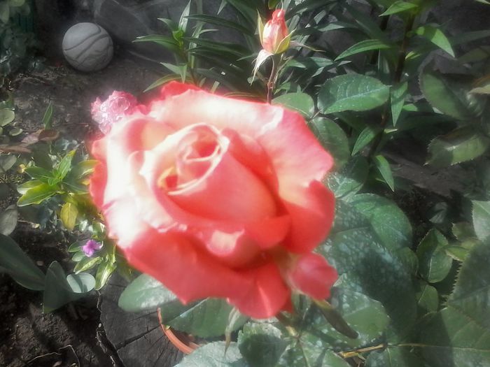 20150526_171608