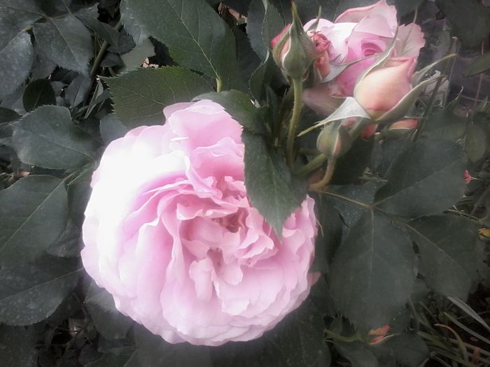 20150526_181758