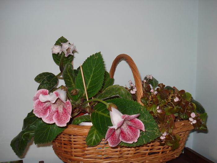 DSC01317