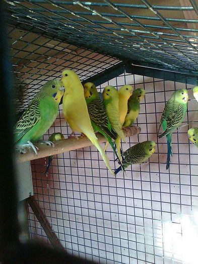 11117669_973647039346626_962091926_n