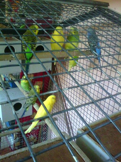 11212325_973646969346633_229097363_n (1)