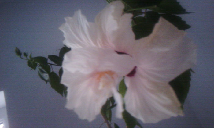 2015-05-26 20.29.20