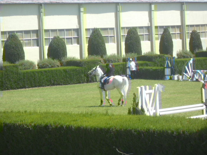 DSC03504