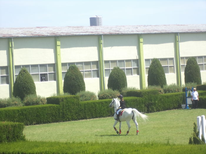 DSC03508