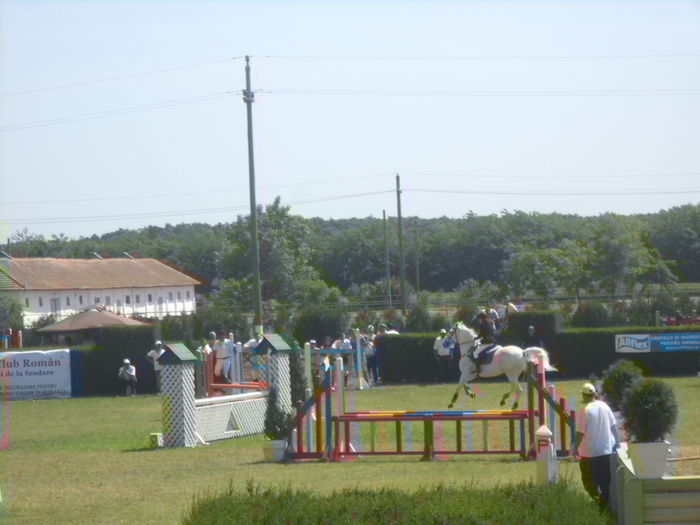 DSC03526