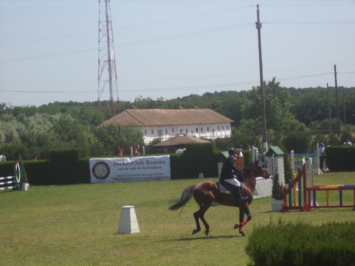 DSC03564