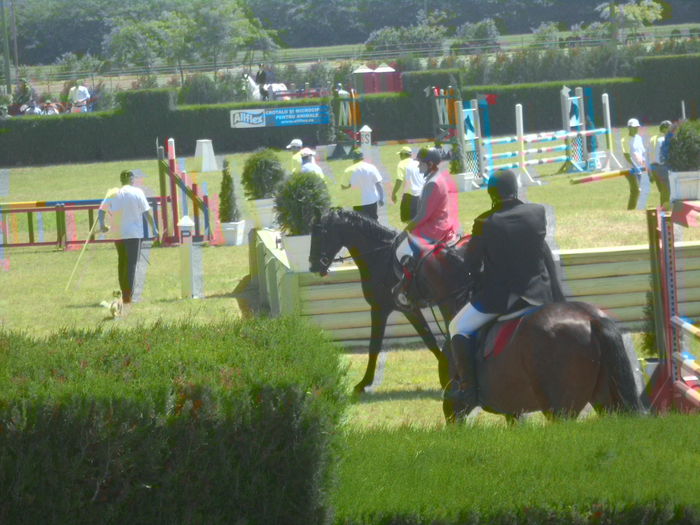 DSC03599 - HERGHELIA JEGALIA