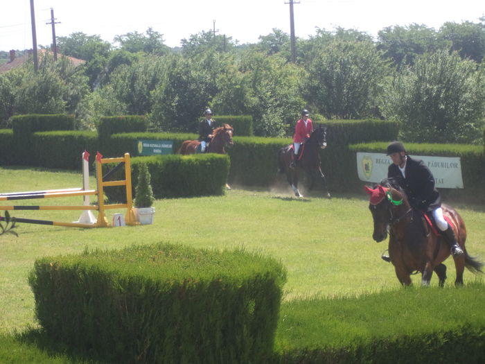 DSC03615 - HERGHELIA JEGALIA