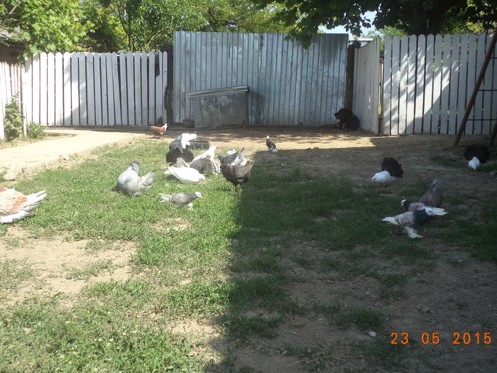 DSC03162 - MATCA KINGI 2015