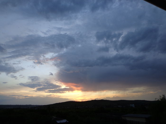 DSC07848