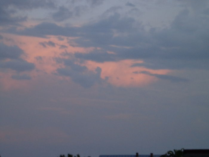 DSC07850
