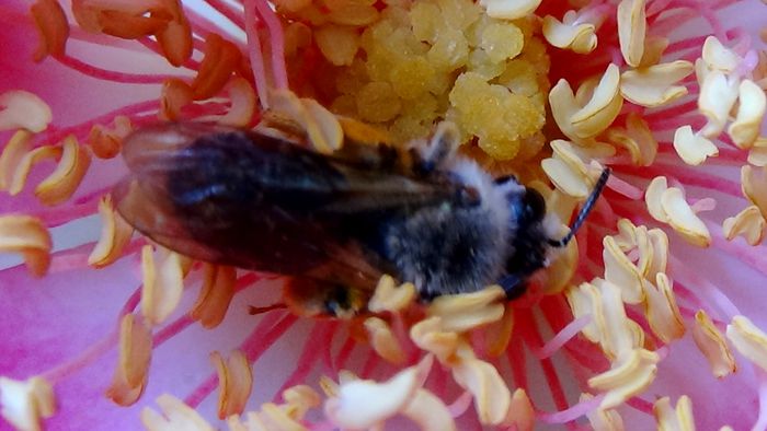 DSC01569 - MACRO