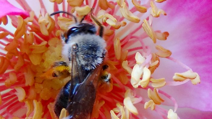 DSC01571 - MACRO