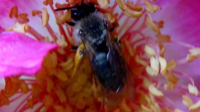 DSC01573 - MACRO