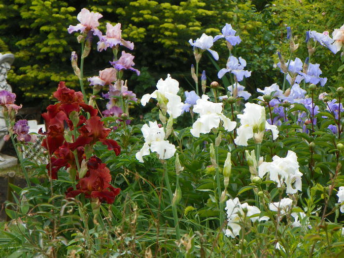 26 mai 092