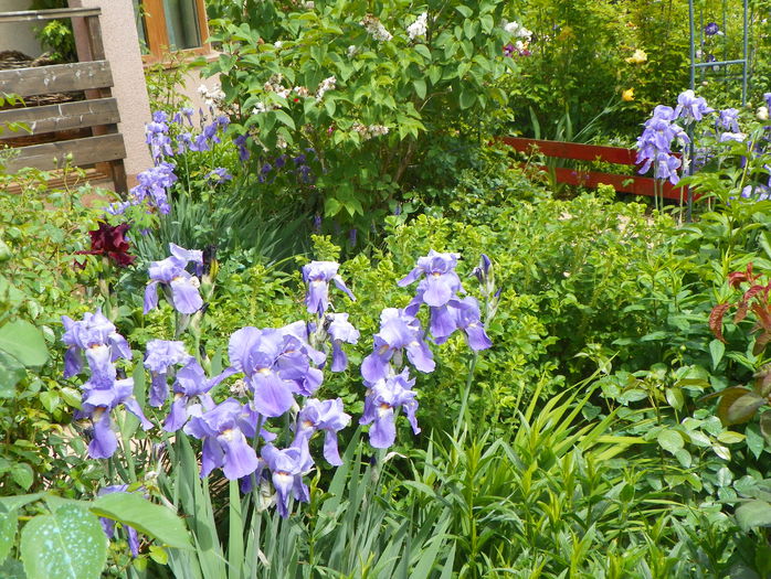 26 mai 070