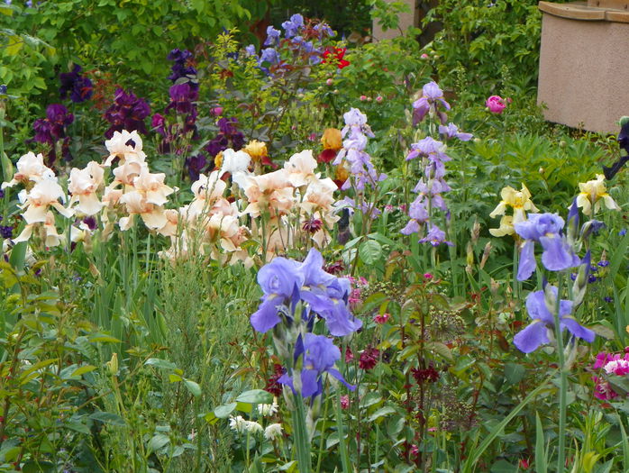 26 mai 093