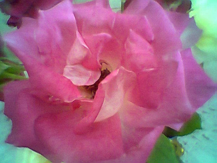 Fotogr.2301